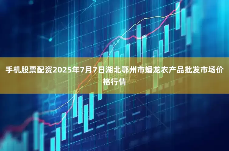 手机股票配资2025年7月7日湖北鄂州市蟠龙农产品批发市场价格行情